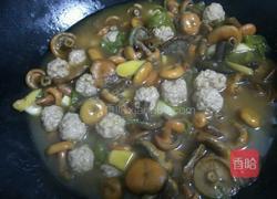 枞树菌炖肉丸的做法图解17