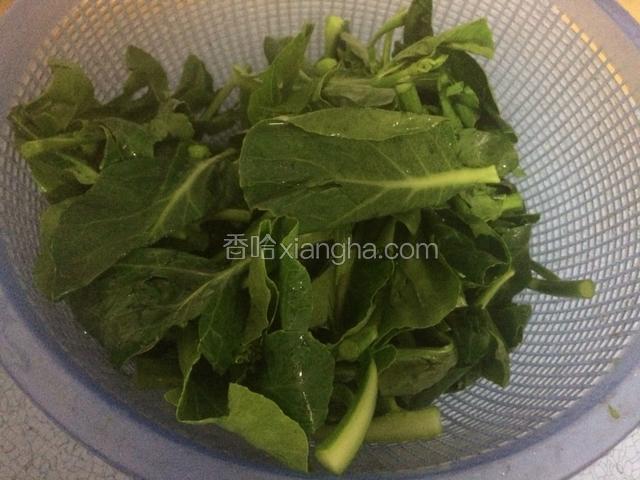 芥蓝菜洗干净后滤干水分备用