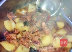鸡骨架炖土豆的做法图解15
