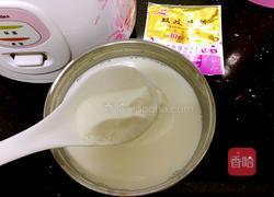 电饭煲做酸奶的做法图解9