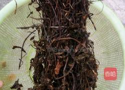 自制黑仙草凉粉的做法图解1