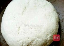 胡萝卜素馅饺子的做法图解2