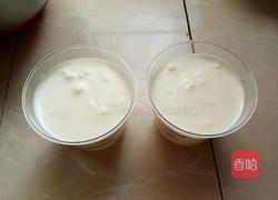 牛奶冰淇淋的做法图解9