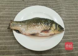 鲫鱼冬瓜汤的做法图解1
