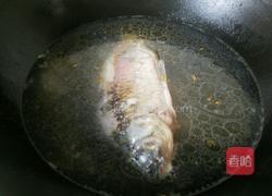 鲫鱼冬瓜汤的做法图解5