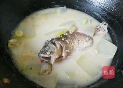 鲫鱼冬瓜汤的做法图解7
