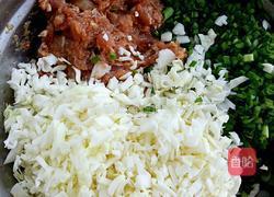 圆白菜猪肉馅饺子的做法图解4