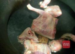 红枣枸杞鸽子汤的做法图解2