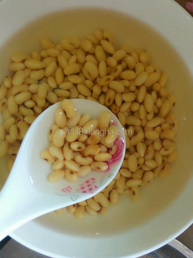 黄豆洗净，浸泡两个钟以上，至泡发备用