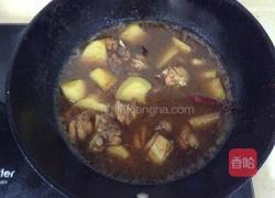 鸡肉炖土豆的做法图解6