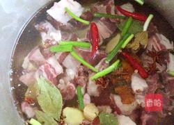 西红柿土豆炖牛肉的做法图解4