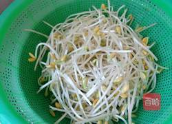 素炒辣味黄豆芽的做法图解2