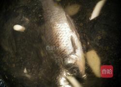 清炖野生小鲫鱼的做法图解4