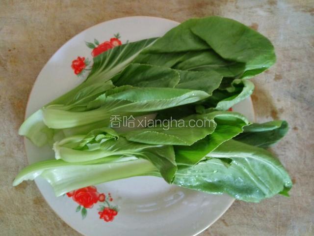 上海青掰开洗净
