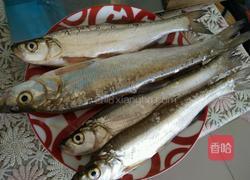 腌鲜鱼的做法图解1