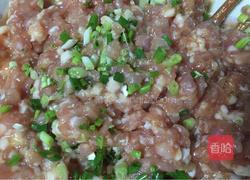 –红烧狮子头的做法图解2