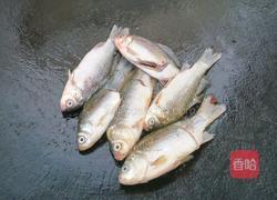 野生鲫鱼豆腐汤的做法图解5