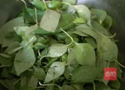 荆芥煎饼的做法图解1