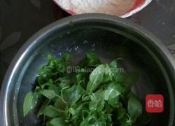 荆芥煎饼的做法图解2