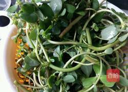 蒜茸马齿苋的做法图解2