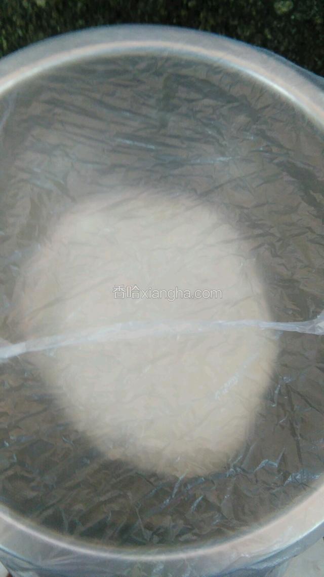 盖上保鲜膜，醒20分钟。