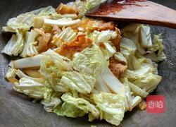 猪肉炖粉条的做法图解7