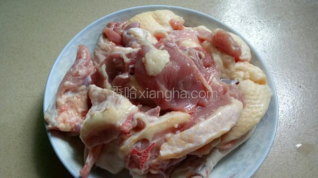 鸭肉洗干净切块。