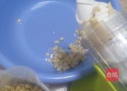 自磨豆腐花(豆腐脑)的做法图解1