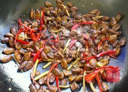 辣椒炒蚕蛹的做法图解5