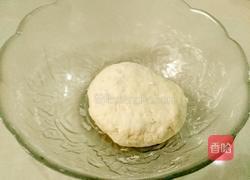 钟水饺的做法图解2