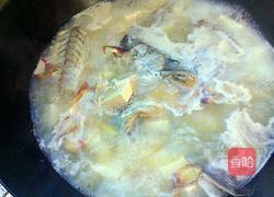 鲅鱼头炖豆腐的做法图解6