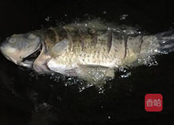 鱼炖豆腐的做法图解2