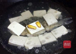 鱼炖豆腐的做法图解4