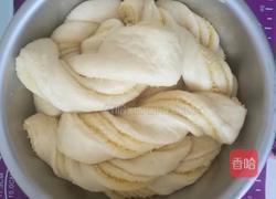 椰蓉花式面包的做法图解8