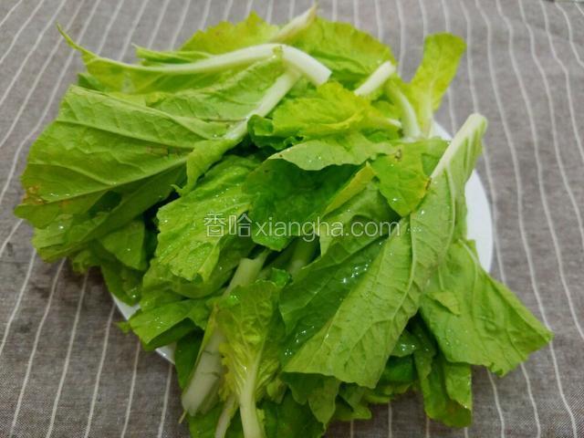 小白菜摘洗干净，用手折成两半。