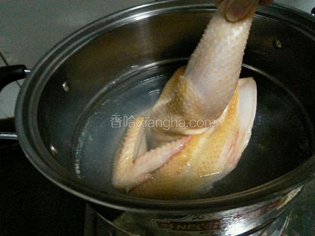 小半锅水烧开，将鸡提起反复放在沸水中烫几秒钟又提起，反复8次后加入1勺料酒，5克拍扁的老姜和2棵葱捆成的葱结，将鸡放入锅中焖煮20分钟