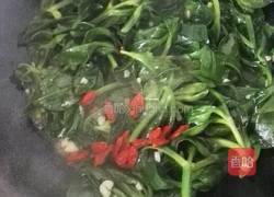 蒜蓉穿心莲的做法图解7