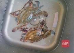 麻辣蟹的做法图解1