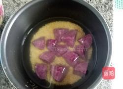小米紫薯粥的做法图解3
