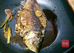 醋焖鲫鱼的做法图解8