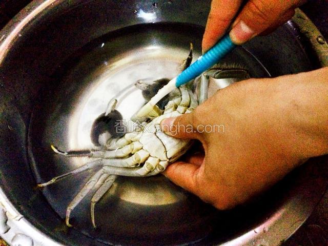 把它洗干净，去除蟹腮
