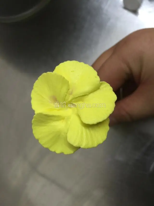 五片花瓣