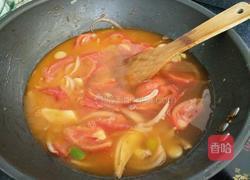 西红柿炖鱼的做法图解5