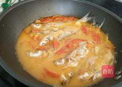 西红柿炖鱼的做法图解7