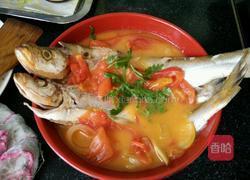 西红柿炖鱼的做法图解8