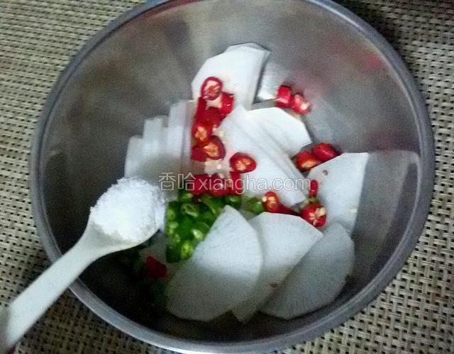 把所有食材放入盆中，加入一勺盐。