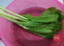 芥菜瘦肉粥的做法图解2