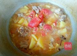 番茄土豆排骨汤的做法图解10