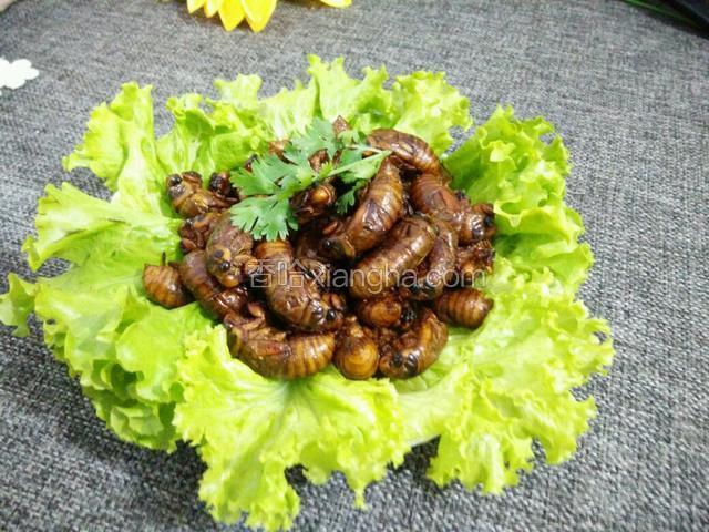 香酥金蝉