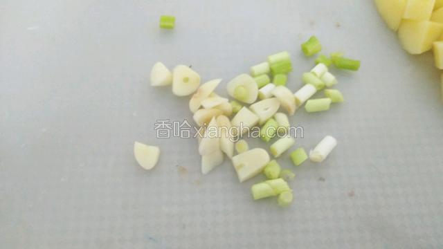 葱蒜切末